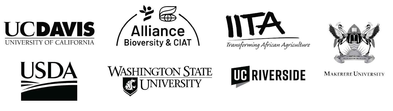 new logos