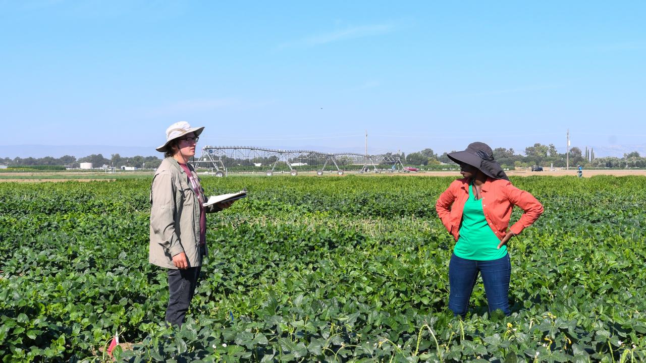 J.Berlingeri and S.Lo in Field