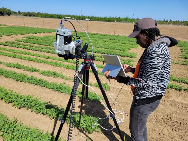 Fieldwork