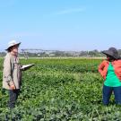 J.Berlingeri and S.Lo in Field